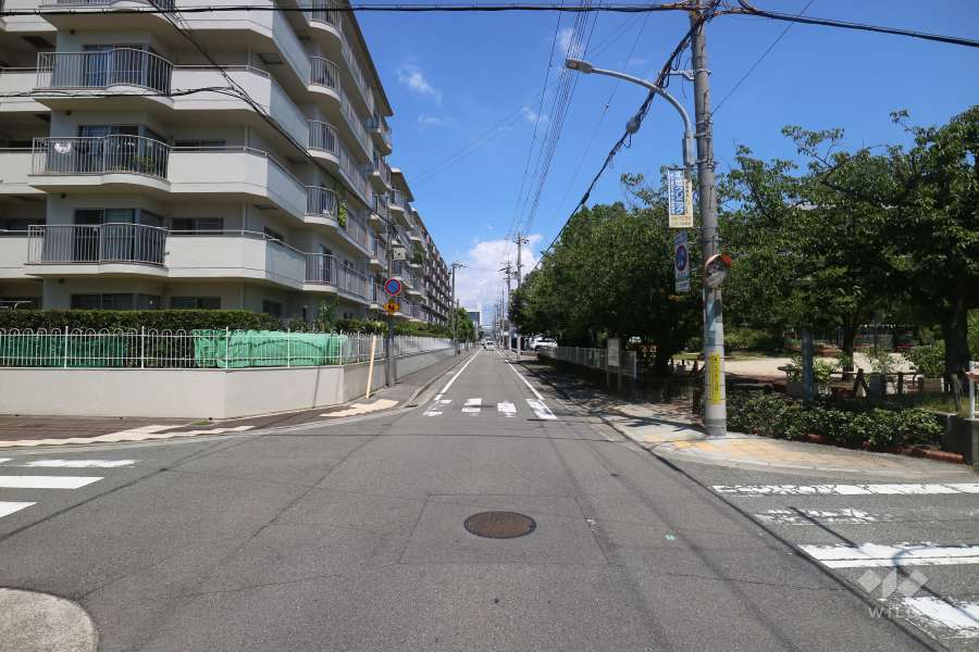 敷地東側の前面道路（南側から）