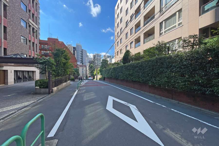 敷地の東側前面道路（北側から）