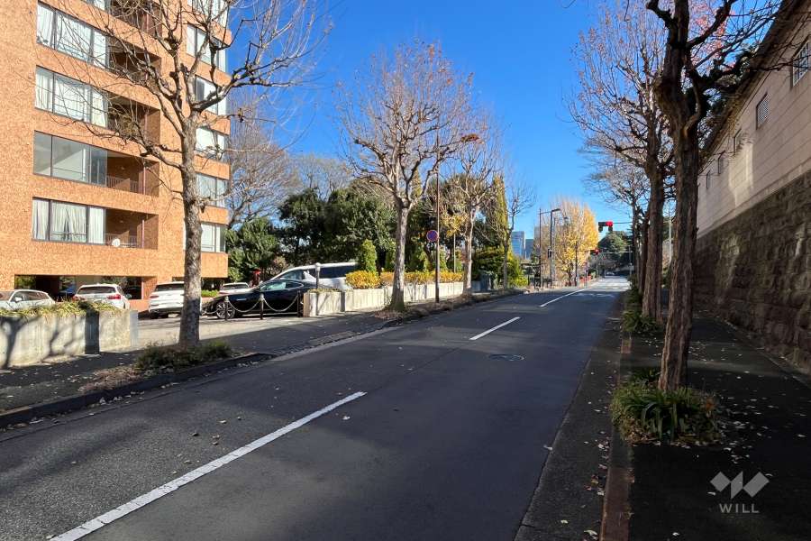 敷地の南側前面道路
