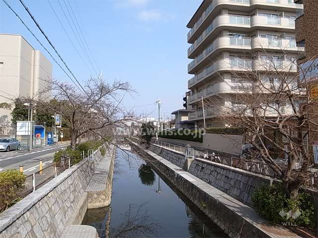 敷地の西側には川が流れています。