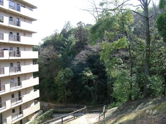 2番館の西側に広がる保護樹林