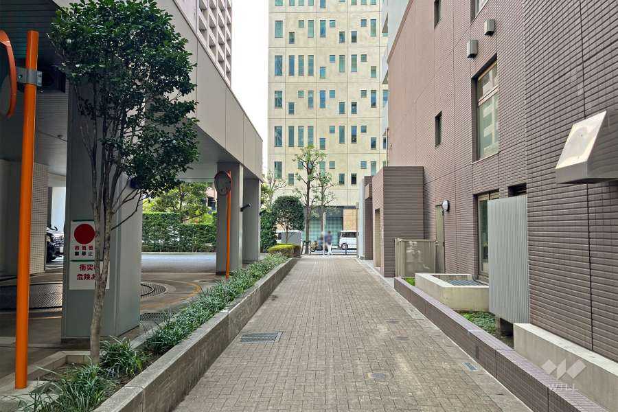 敷地東側の前面道路（南側から）