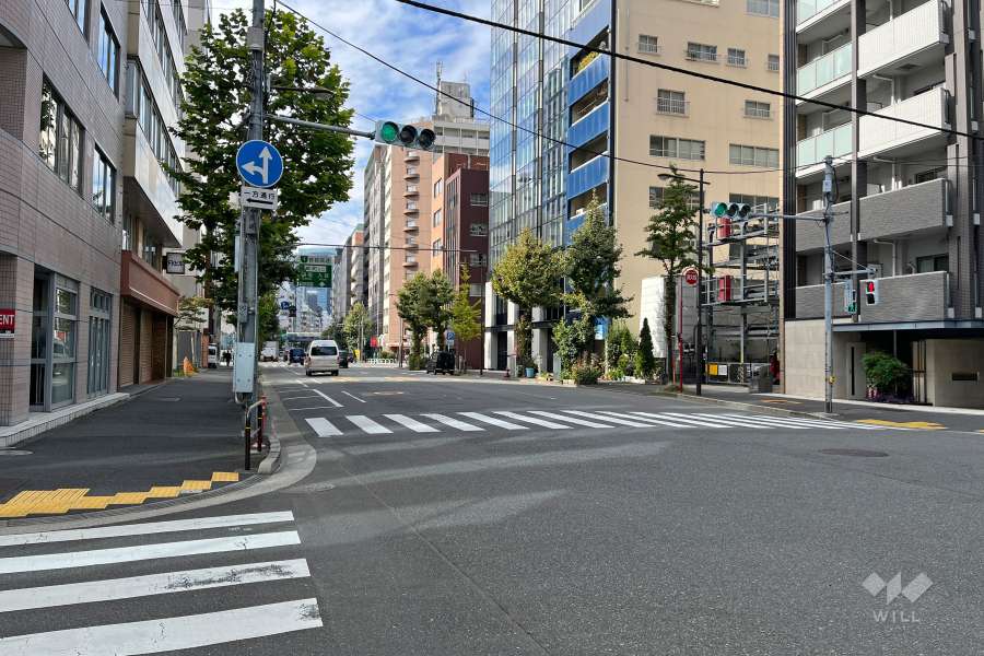 敷地の南側前面道路（東側から）