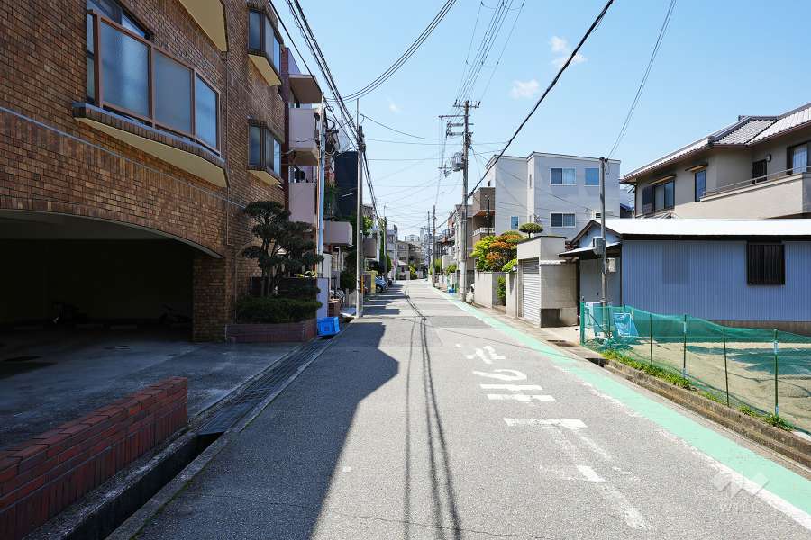 敷地北側の前面道路（西側から）