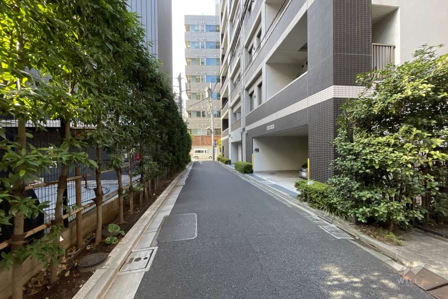 敷地南側の前面道路