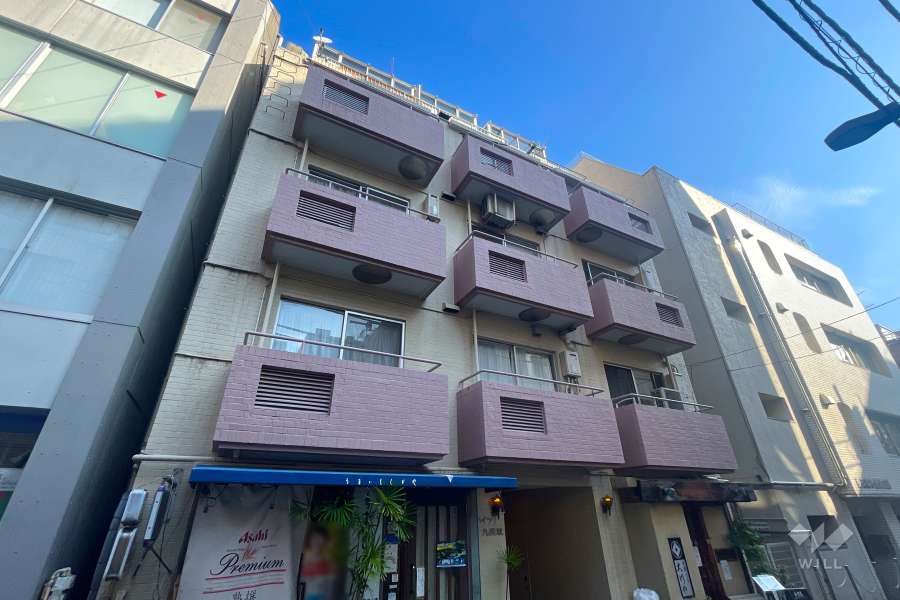 ハイツ九段坂の外観（南西側から）