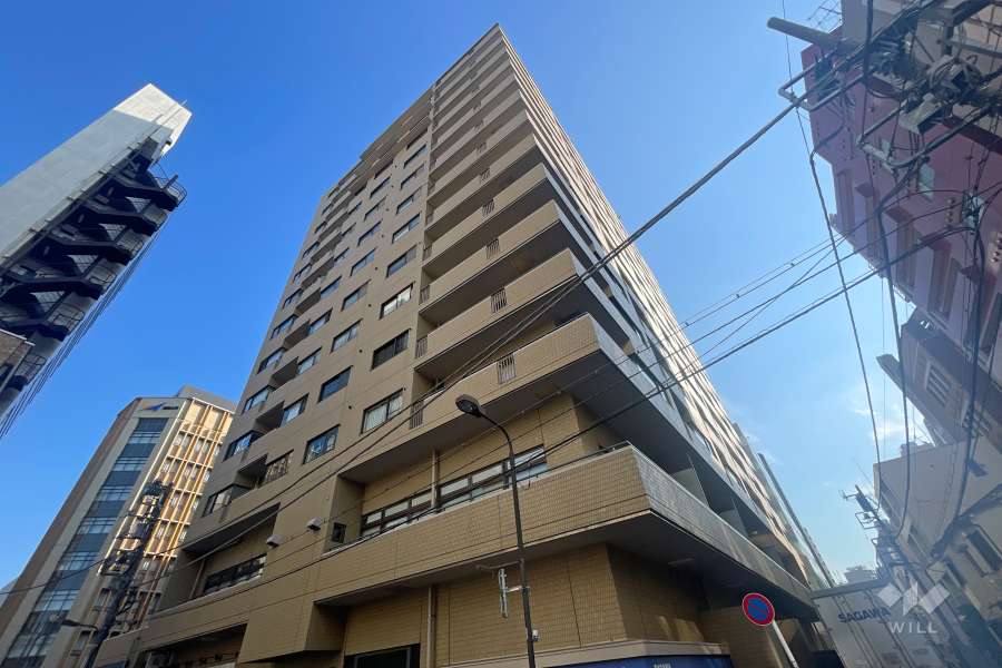 マートルコート麹町の外観（西南側から）　