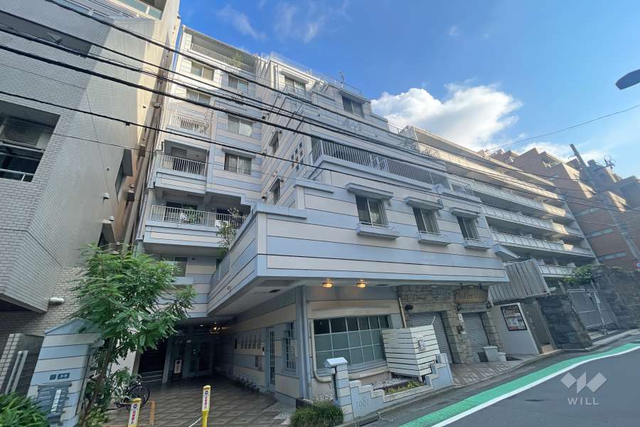 カーサフジマの外観（南西側から）