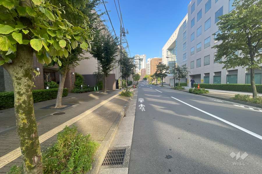 敷地北側の前面道路