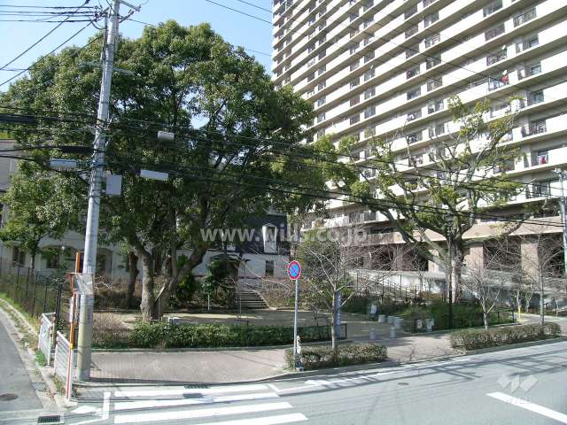 3番館の南側にある公園