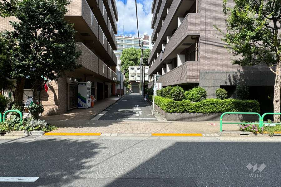 敷地の西側前面道路（南側から）