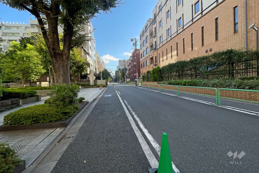 敷地の南側前面道路（西側から）
