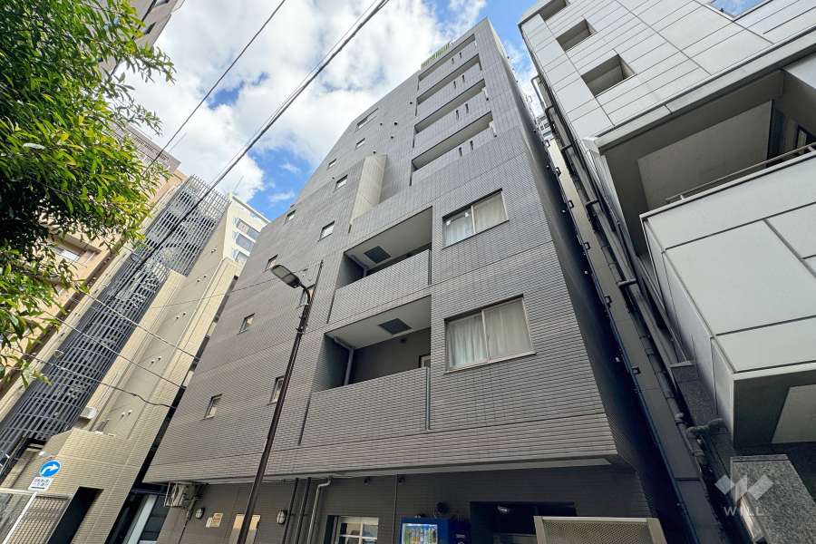 パレステュディオ御茶ノ水駿河台参番館の外観（南西側から）