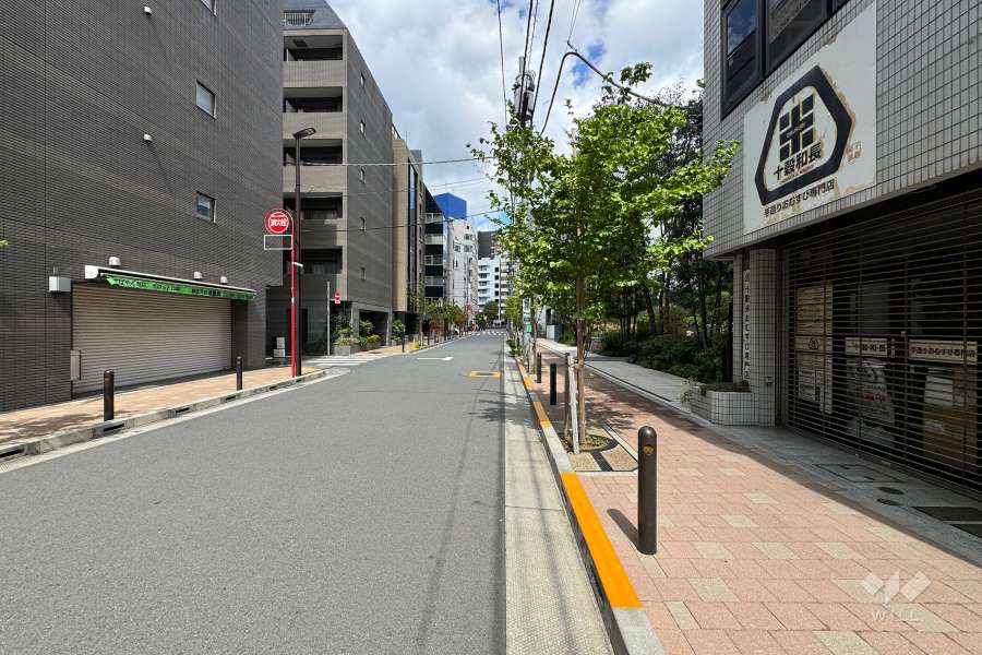 敷地東側の前面道路