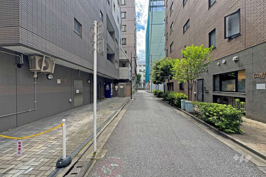 敷地の東側前面道路（北側から）