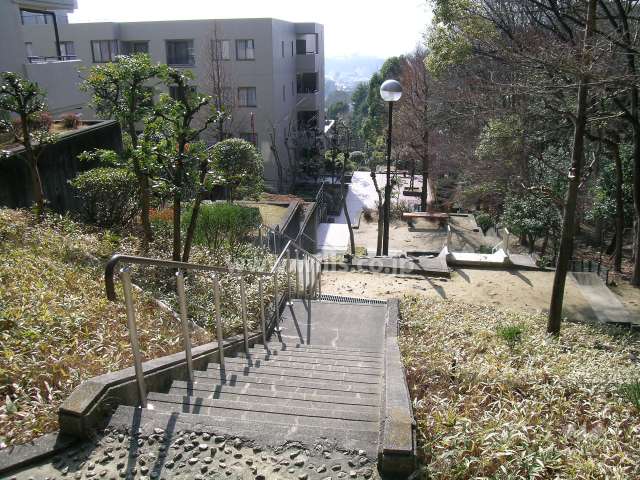 敷地は自然林に囲まれています