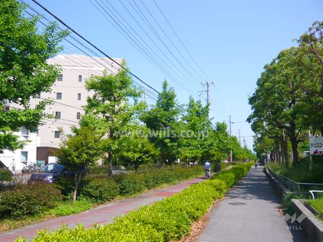 駅までの道は街路樹のきれいな通りです