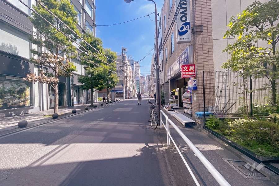 敷地北側の前面道路（西側から）