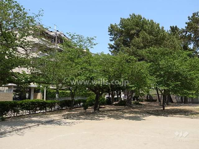 敷地南側には道を挟んで、甲子園口公園が広がっています。