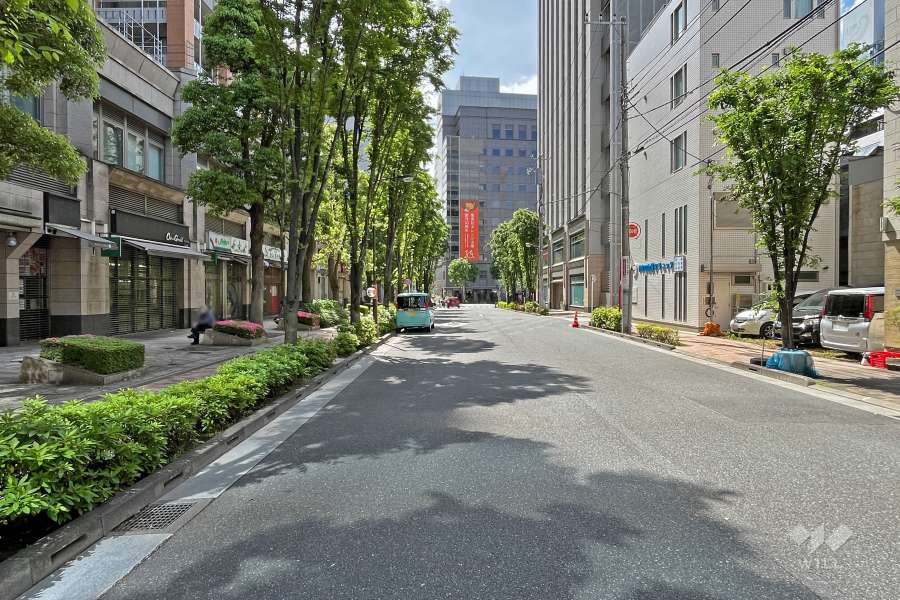敷地北側の前面道路（東側から）