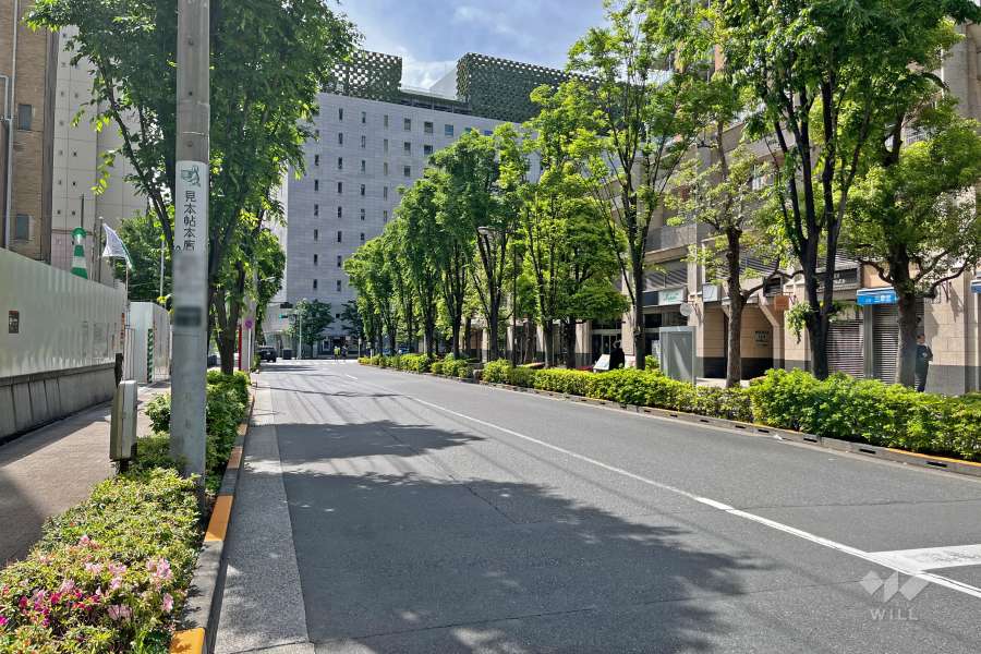 敷地南側の前面道路（東側から）