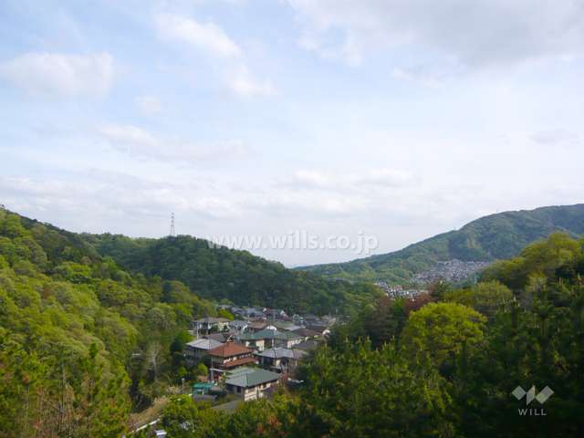 敷地内からの眺望