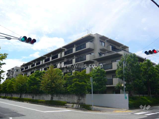敷地内駐車場（屋外平面式）※敷地北側部分