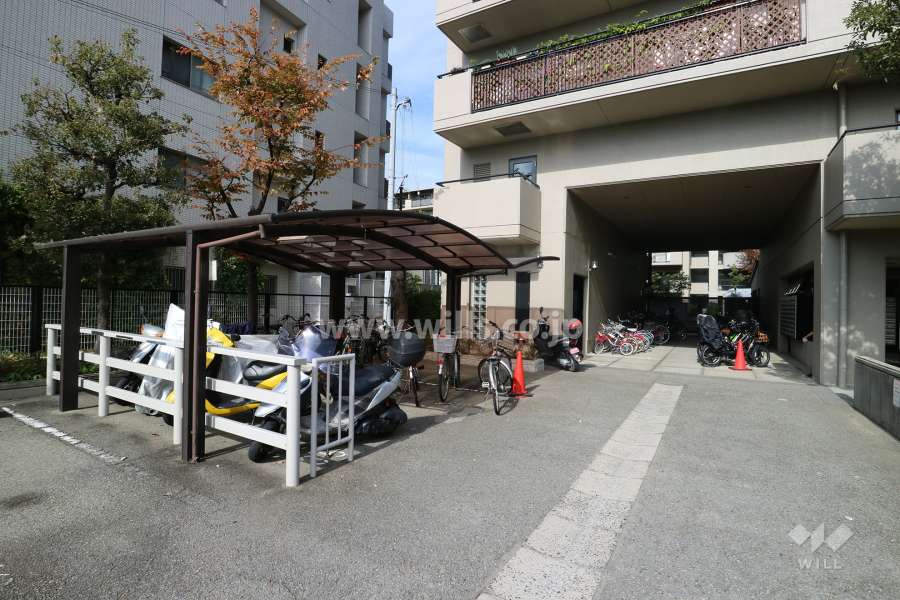 敷地東側の前面道路（南側から）