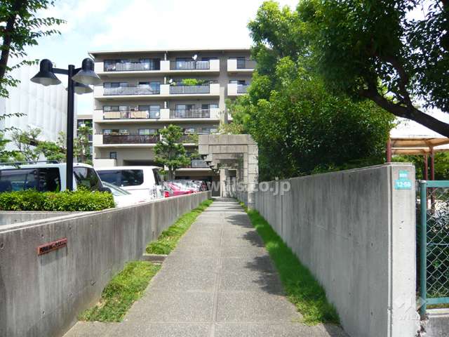 敷地北側の前面道路（東側から）
