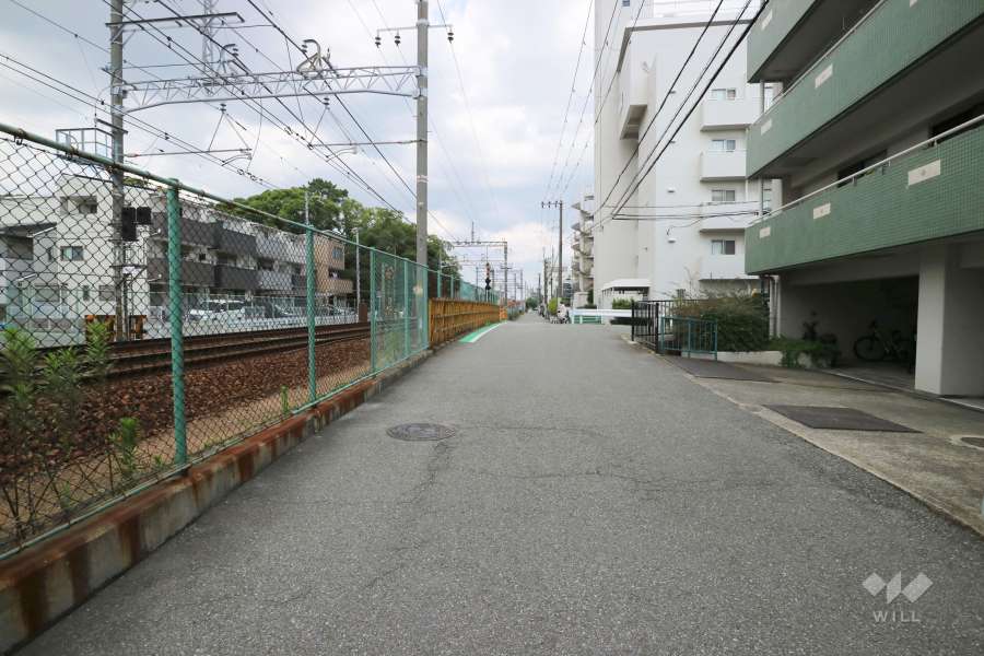 敷地北側の前面道路（西側から）