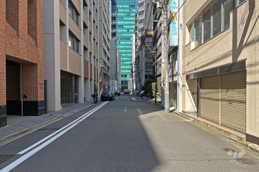 敷地の西側前面道路（南側から）