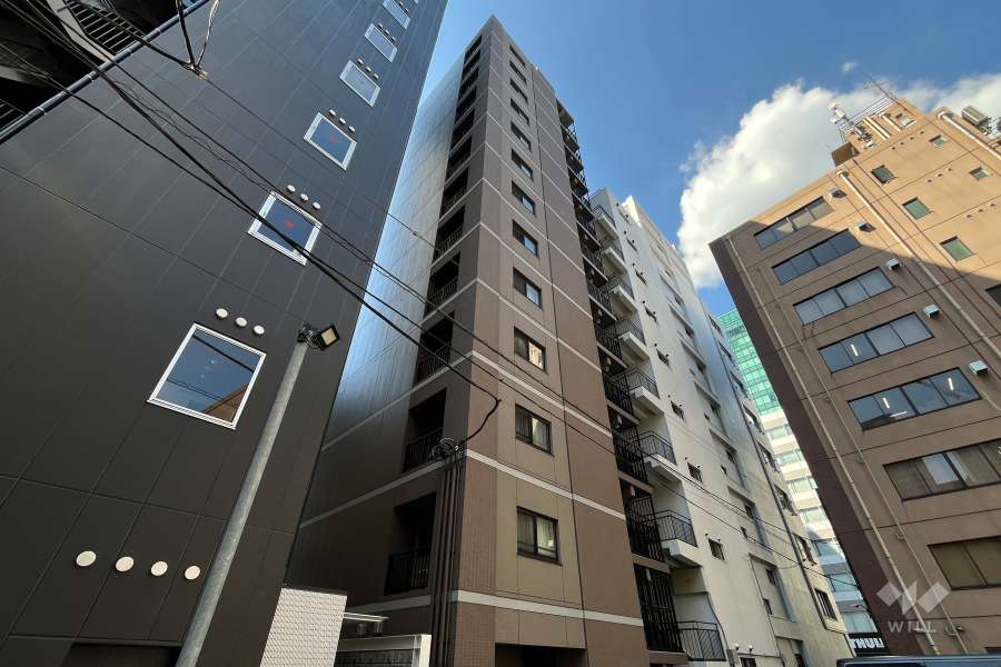 リビオレゾン内神田の外観（南東側から）　
