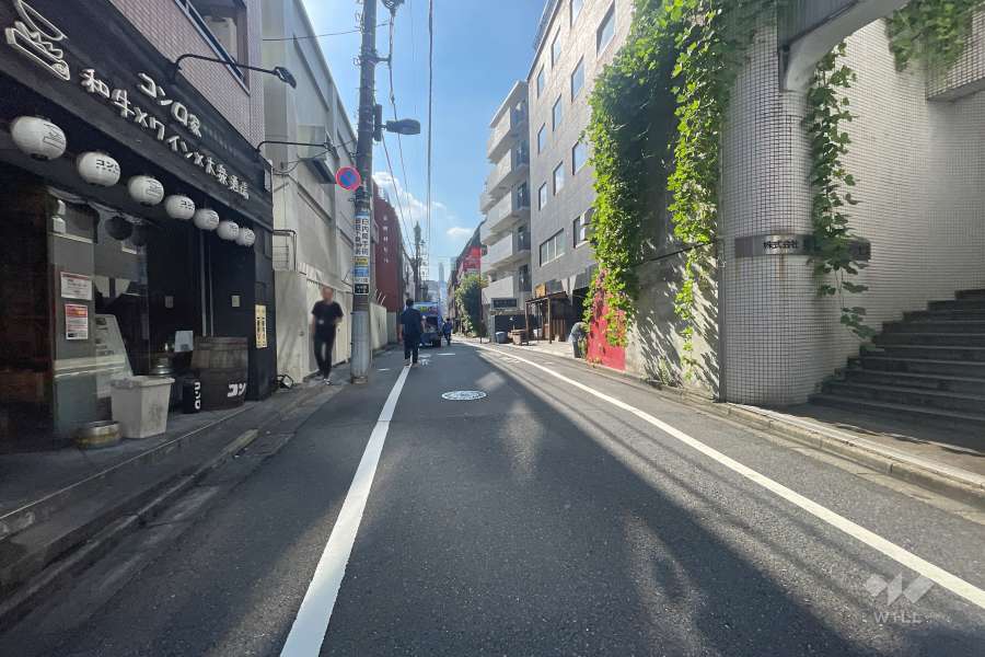敷地の北東側前面道路（北西側から）