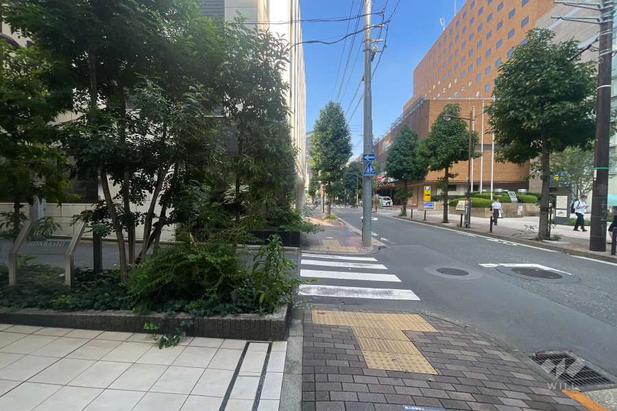 敷地の北東側前面道路（南東側から）