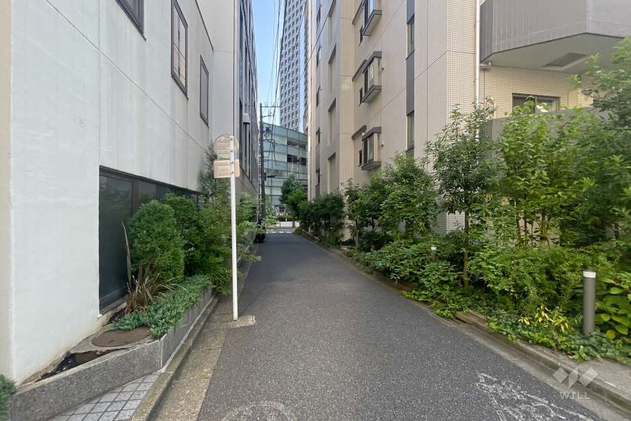 敷地の北西側前面道路（南西側から）