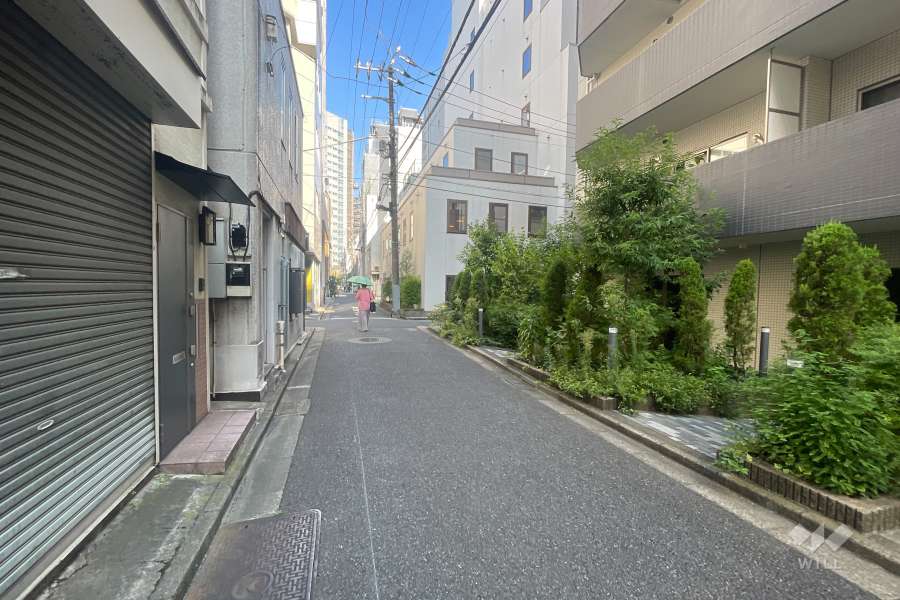 敷地の南西側前面道路（南東側から）