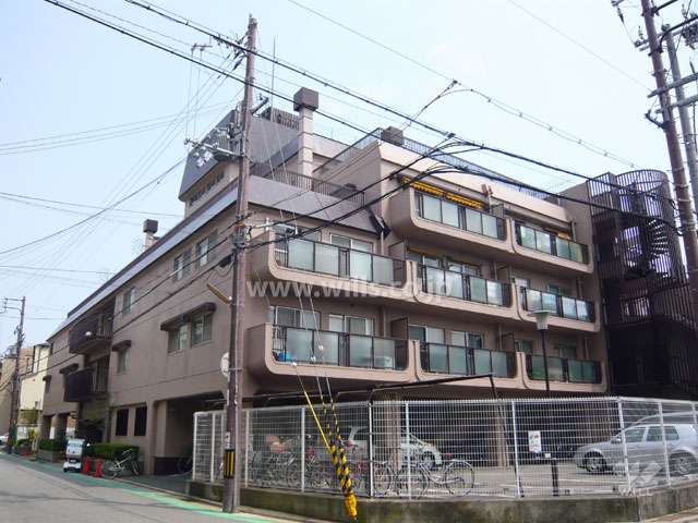 敷地北側前面道路（北西側から）
