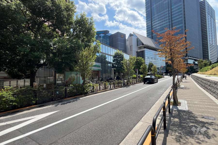 敷地の西側前面道路（北側から）