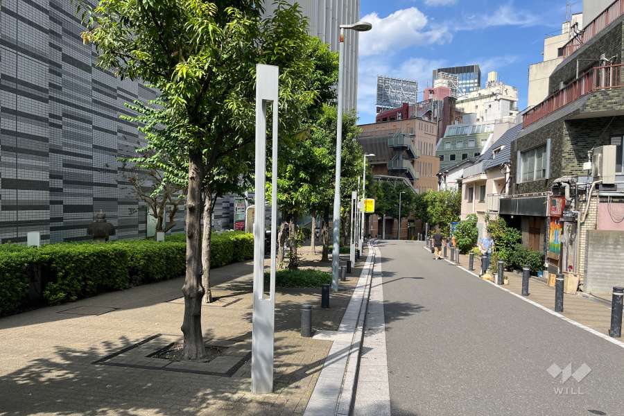 敷地の東側前面道路（南側から）