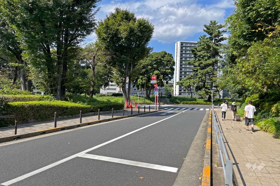 敷地の南西側前面道路（南東側から）