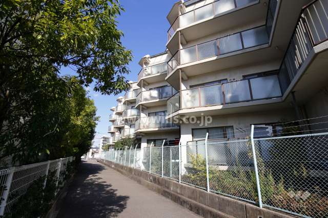 敷地西側の通路。