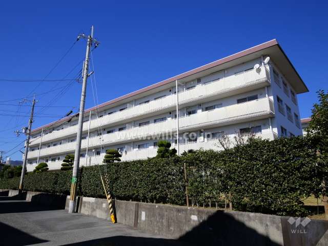 仁川フラットC棟の外観（南東側から）