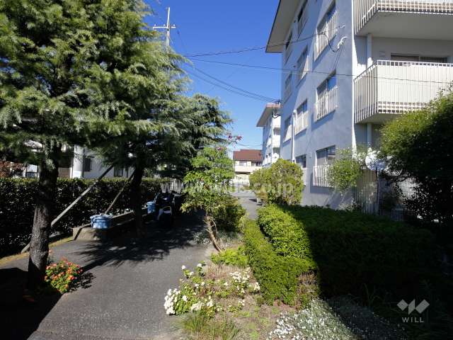 敷地内の植栽スペース