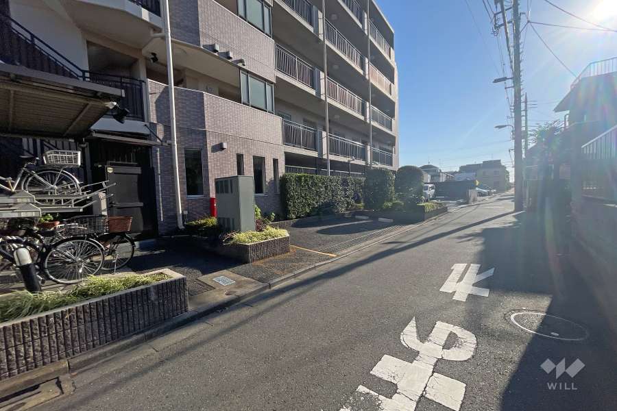 敷地西側の前面道路（北側から）