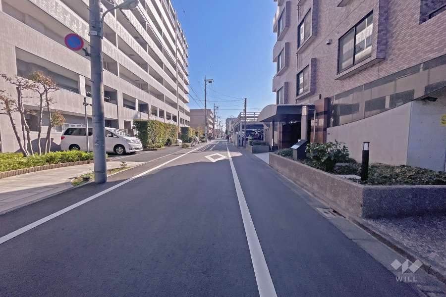 敷地東側の前面道路（北側から）