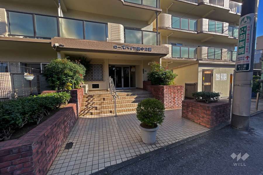 エントランスアプローチ