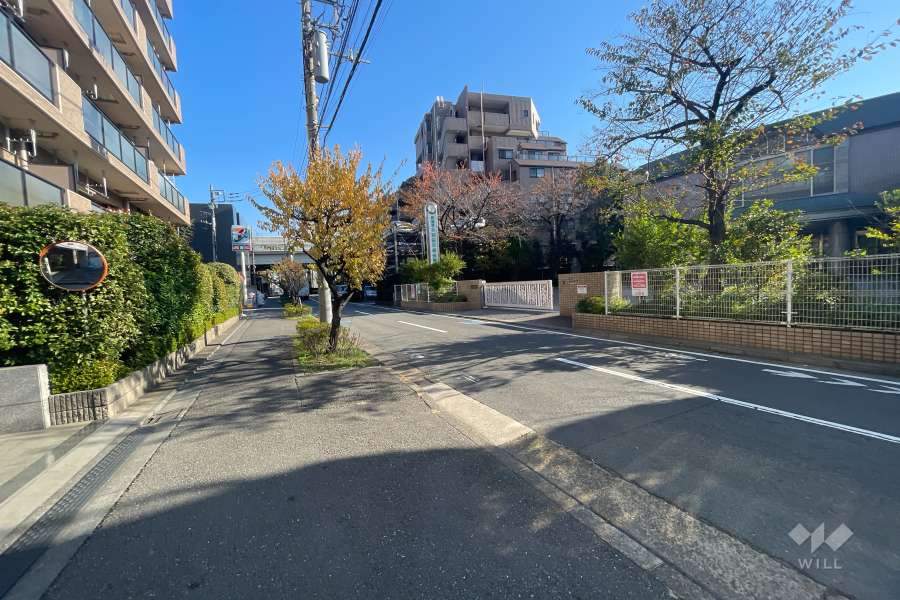 敷地南側の前面道路（西側から）