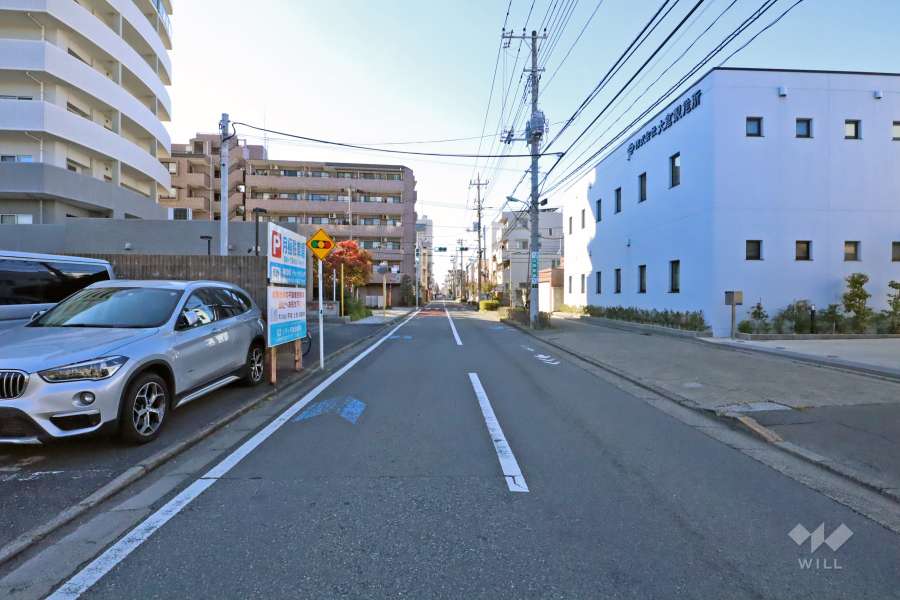 敷地の北側道路(東側から)