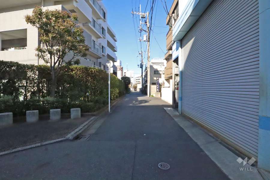 敷地の東側道路(南側から)