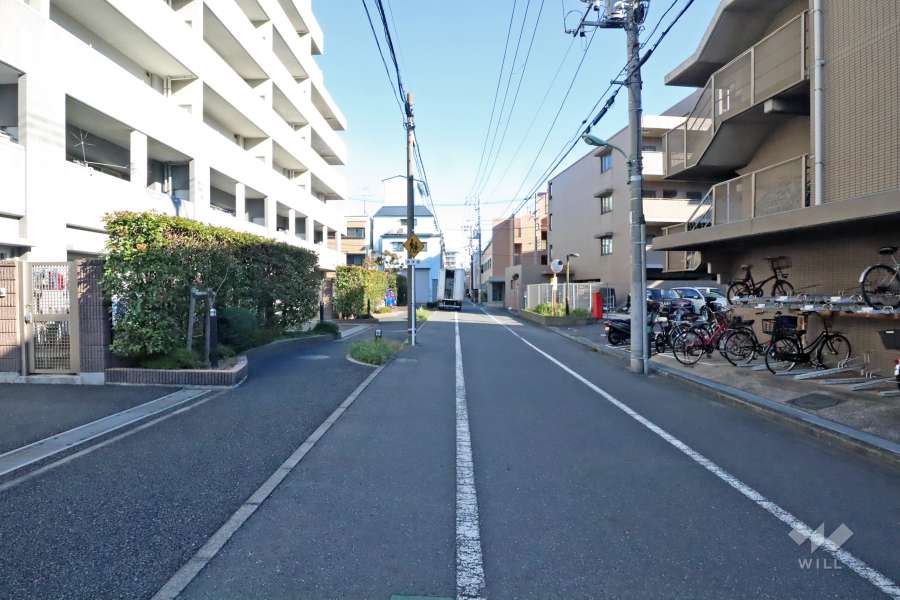 敷地の南側側道路(西側から)